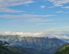 pexels-chaves-lorena-311046447-13547081