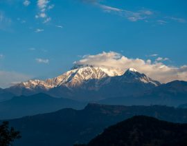 pexels-micklatter-15404020