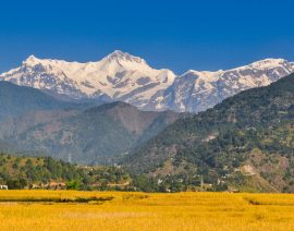 pexels-nishess-shakya-401526881-14892590