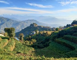 pexels-prabin-adhikari-1090022431-20651038